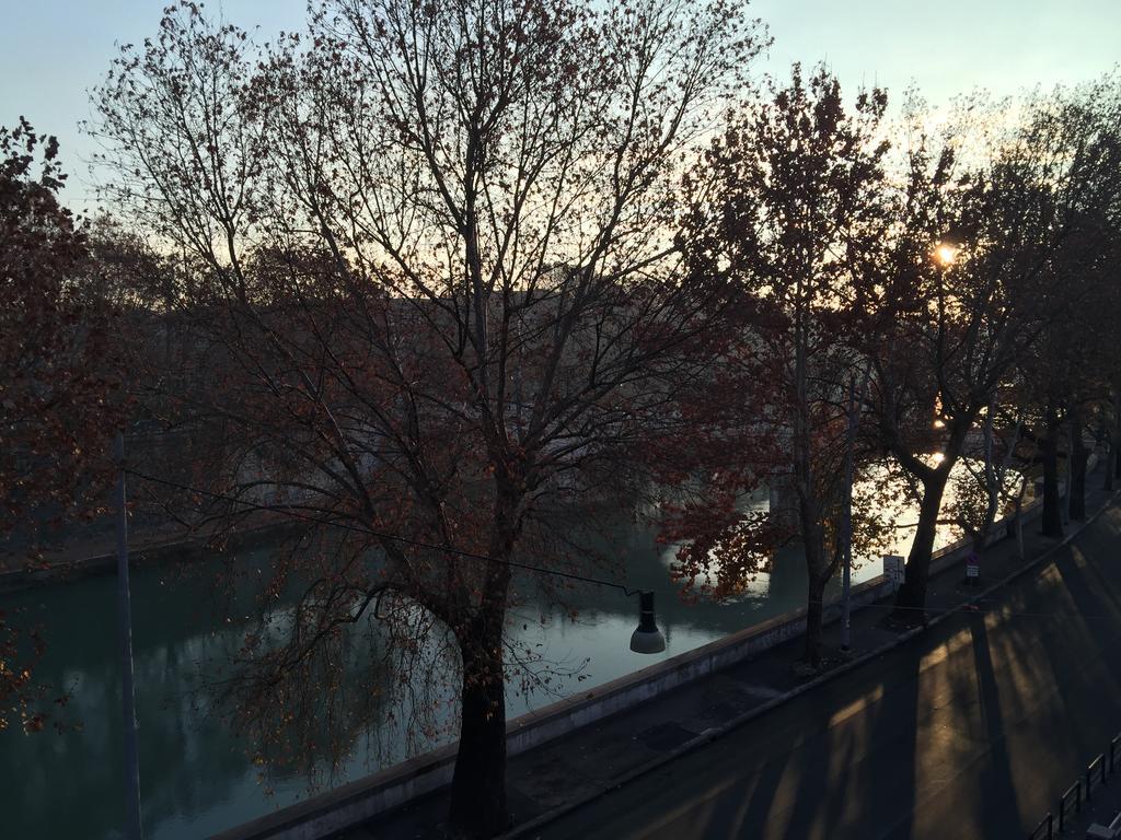 Over The Tiber Loft 로마 외부 사진