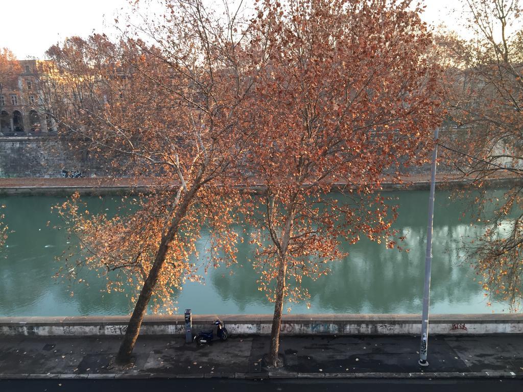 Over The Tiber Loft 로마 객실 사진